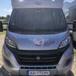 CARADO T447 2024
